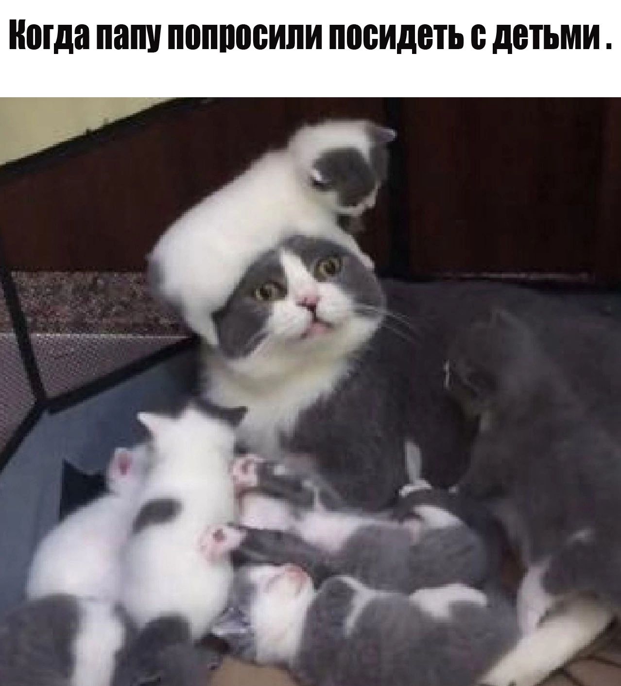 Когда папу попросили посидеть с детьми