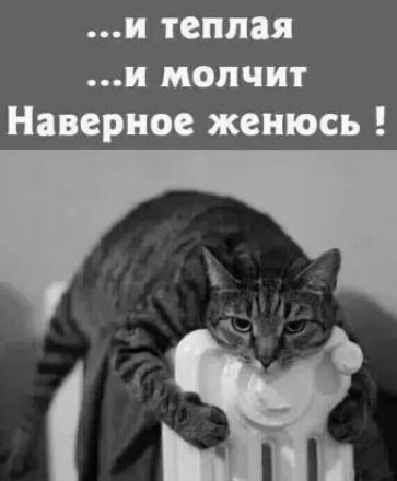 и теплая И МОЛЧИТ Наверное женюсь
