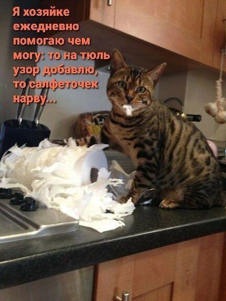 Я хозяйке ежедневно