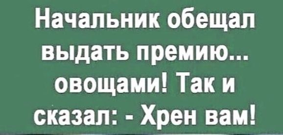 Начальник обещал выдать премию овощами Так и сказал Хрен вам