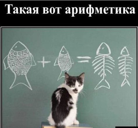 Такая вот арифметика