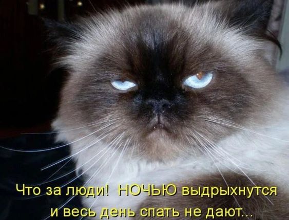 о выдрыхнутся спа Ь_не дают