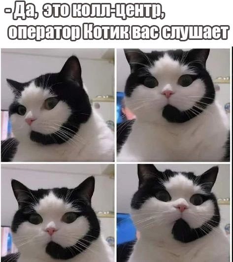 Швед Шэщшсшщцш 13 Г3 ЗГЗ