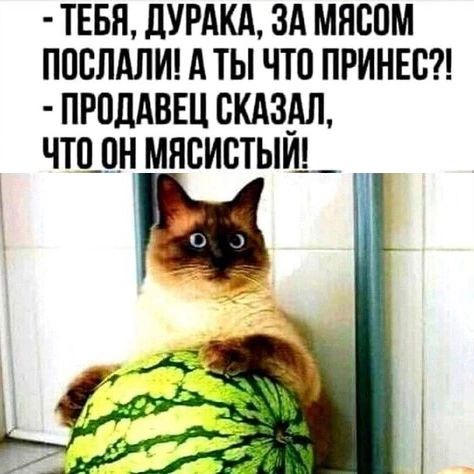 тгвндумкдзд мясом ппслдлид А ты что принес прпддвш скдздл что_п_н мясистыи__ и ч ыУ 4