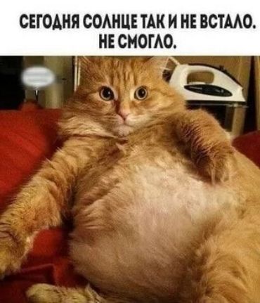 СЕГОДНЯ СОАНЦЕ ТАК И НЕ ВСТААО НЕ СМОГАО
