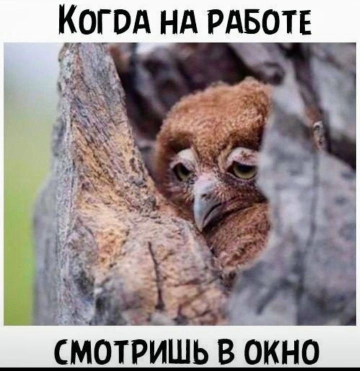 тд нд РАБОТЕ _ смотришь в окно