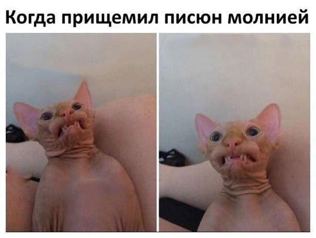 Когда прищемил писюн молнией