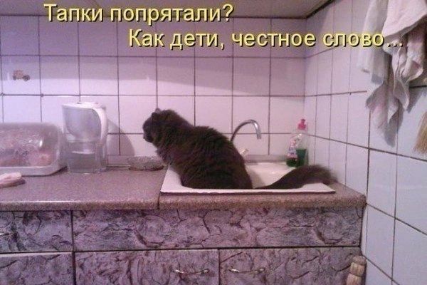 Тапки попрятапи