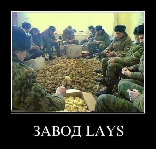 ЗАВОД ЬАУБ