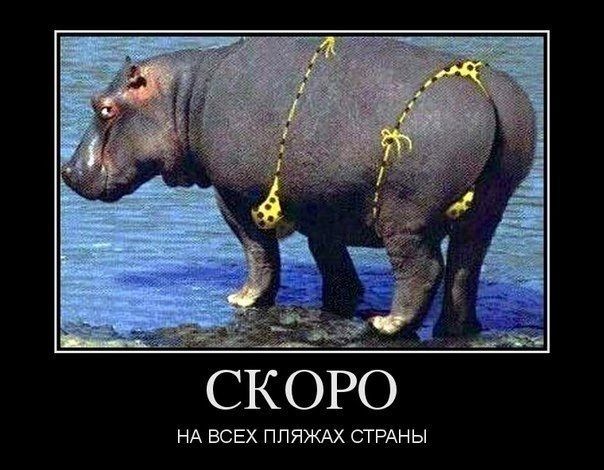 А СЁ РЪ нд ВСЕХ ппяжюк СТРАНЫ