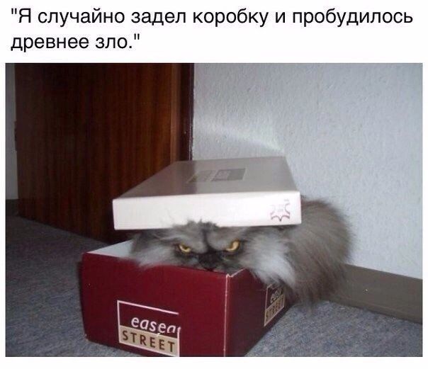Я случайно задел коробку и пробудилась древнее зло