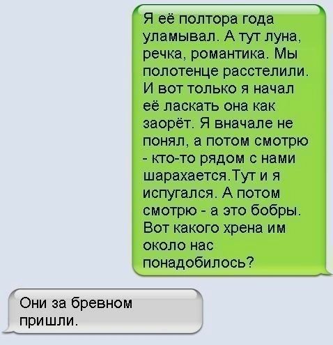 _ Я её полтора года уламывал А тут луна речка романтика Мы полотенце расстелили И БОТ ТОЛЬКО Я начал ее ласкать она как заорёт Я вначале не понял а потом смотрю КТО ТО РЯДОМ С нами шарахаетсяТу г и я испугался А потом смотрю а это бобры Вот какого хрена им около нас _ понадобилось Они за бревном пришли