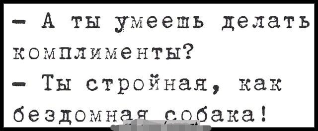 А ты умеешь делать комплименты Ты стройная как бездомнач собака