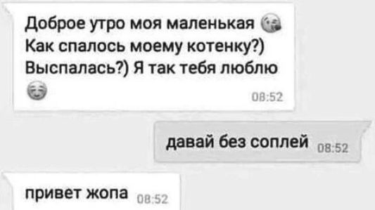 доброе у гро моя маленькая Как впилась моему котенку Выспалась Я так тебя люблю давай без соплей привет жопа
