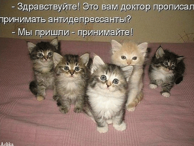 Здравствуйте Это вамщекгорпрописап ринимать антидепресщащы Мы пришли __ шринИМайгец Аш