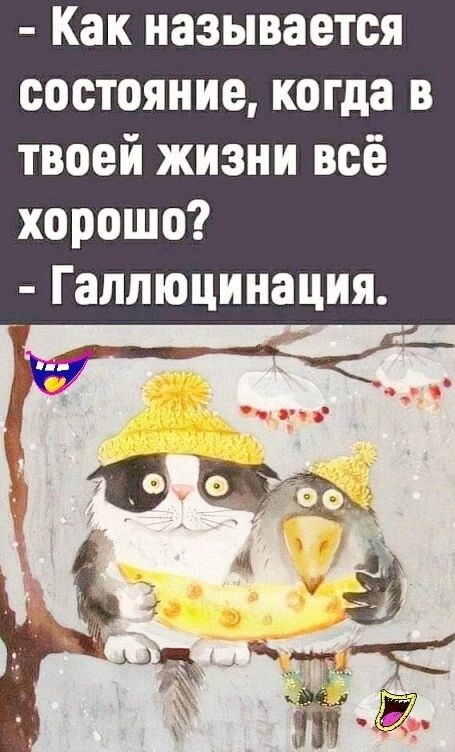 Как называется состояние когда в твоей жизни всё хорошо Гаплюцинация