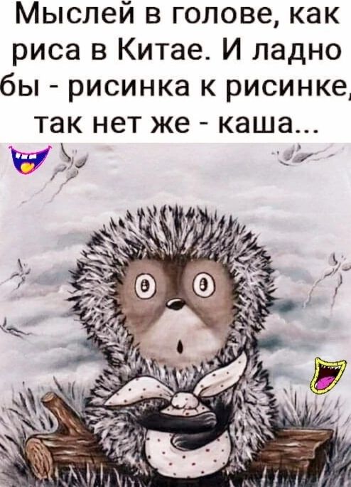 Мыслей в голове как риса в Китае И ладно бы рисинка к рисинке так нет же каша