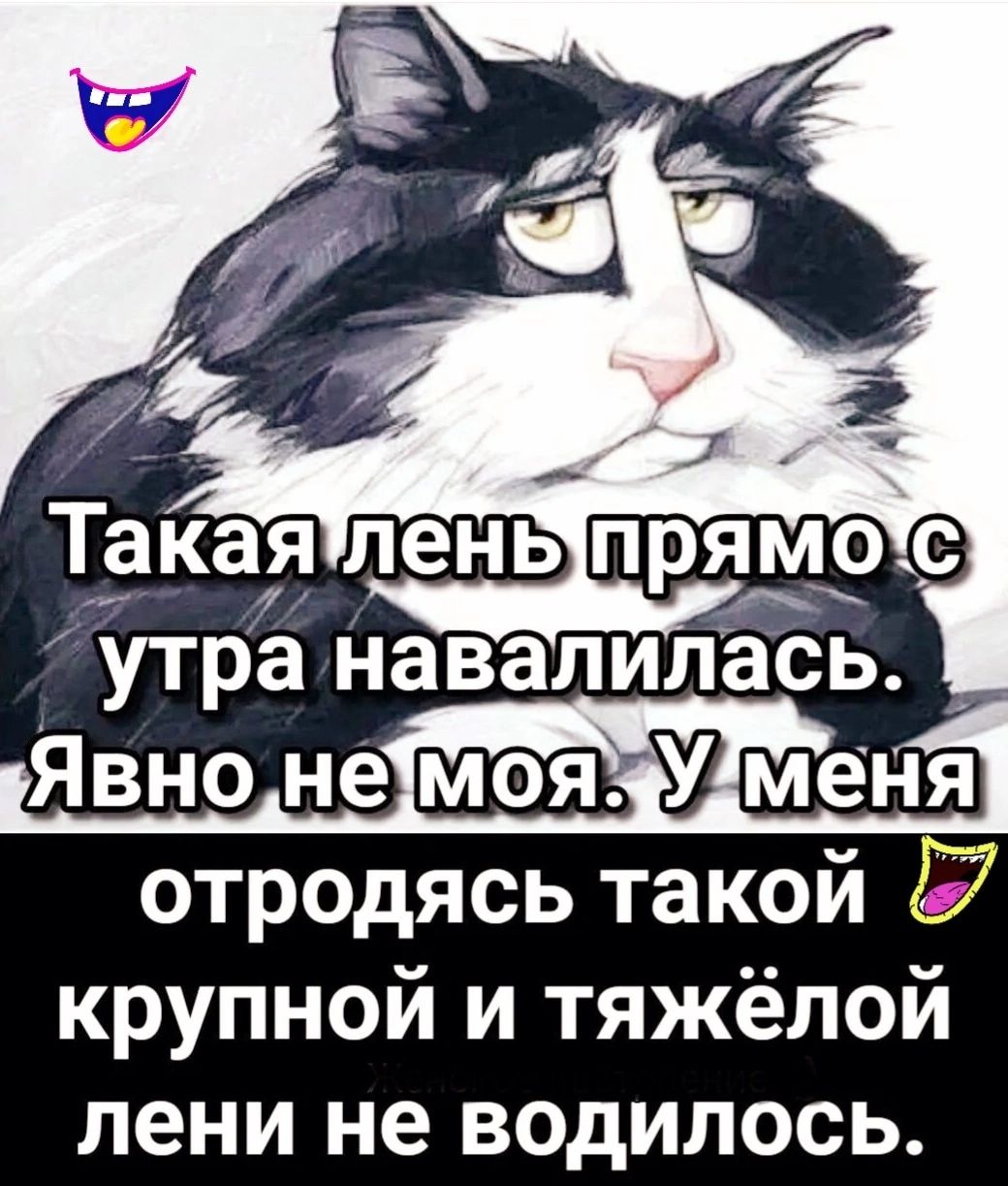 утра навалилась отродясь такой 27 крупной и тяжёлой лени не водилось
