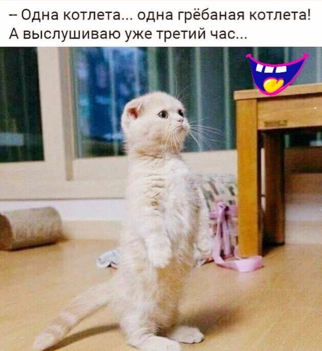 Одна котлет одна грёбаная котлета А выслушиваю уже третий час