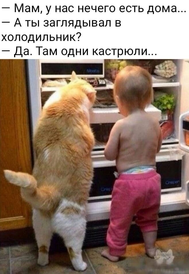 Мам у нас нечего есть дома А ты заглядывал в олодильник Да Там одни кастрюли