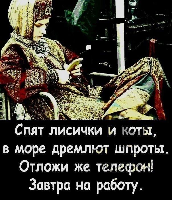 Спят лисички и коты в море дремлют шпроты Отложи же телефон Завтра на работу