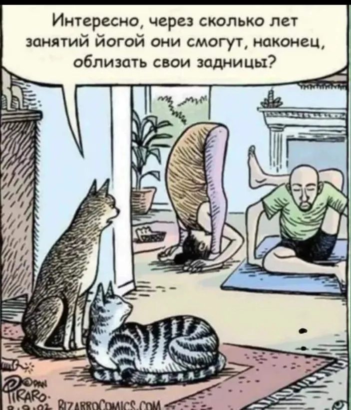 Интересна через сколько лет занятий йогой они смогу наконец обливать свои задницы