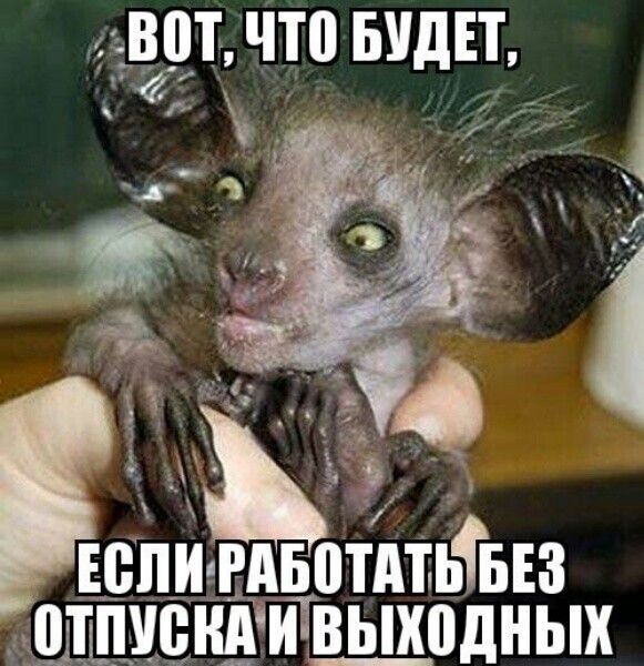 ВЩ ЧТ0 БУДЕТ 1 З П А 14 если вдвотАтьФвЕз ШШШ В_ЫХ0дНЬХ