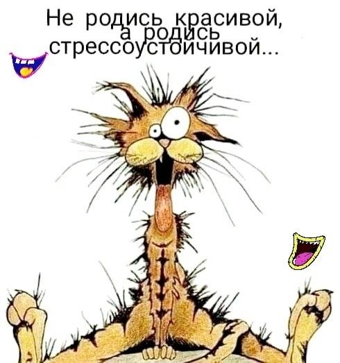 Не родьисьь кЁасивои СЬ У стрессоуЁтЁичивои