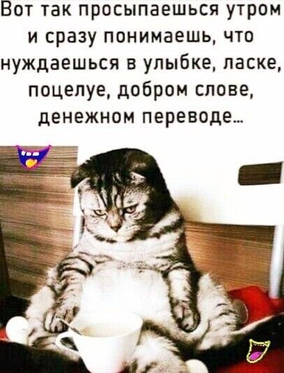 Вот так просыпаешься утром и сразу понимаешь что нуждаешься в улыбке ласке поцелуе добром слове денежном переводе