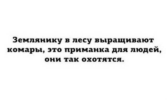 Зент нику в лесу выращивают комары это приманка для людей они так охотятся