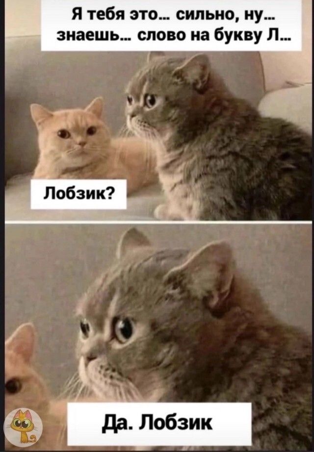 Я тебя это сильно ну знаешь слово на букву Л