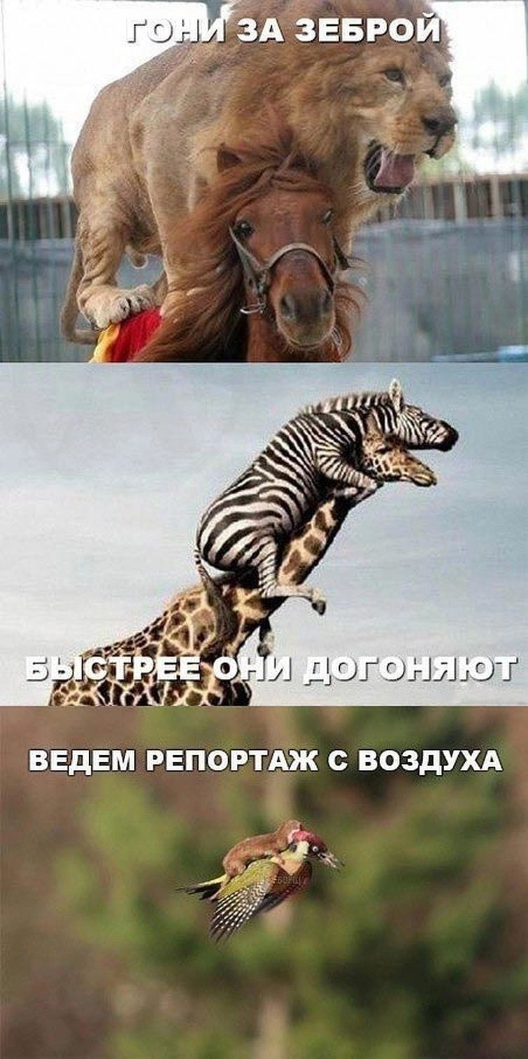 ВЕДЕМ РЕПОРТАЖ С ВОЗДУХА ъ