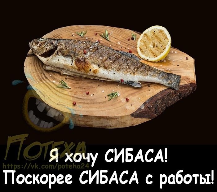 Я хочу СИБАСА Поскорее СИБАСА с работы