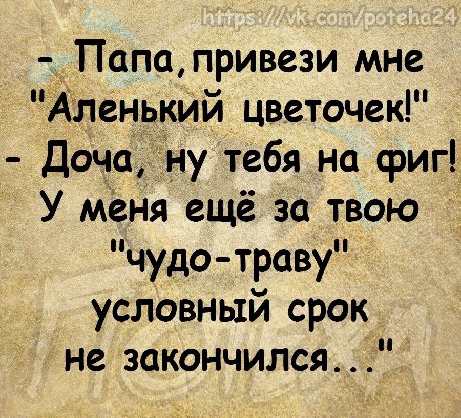 _Папапривези мне Аленький цветочек Дочону тебя на фиг У меня ещё за твою чудо траву условный срок не закончился