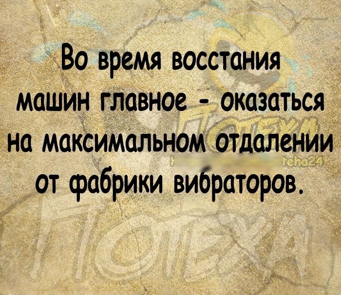 Во время восстания машин главное оказаться на максимальном Отделении от фабрики вибраторов