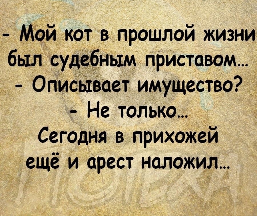 Мой кот в прошлой жизни был судебным прИставом ОписЫвает имущество Не только Сегодня в прихожей ещё и арест наложил