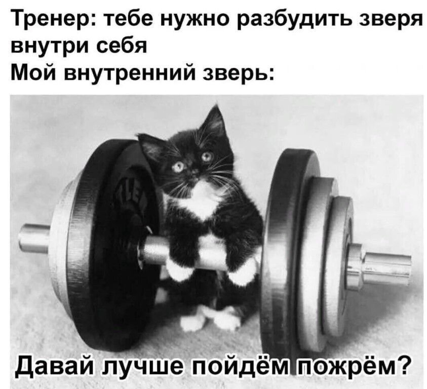 Тренер тебе нужно разбудить зверя внутри себя Мой внутренний зверь Давай лучше пойдём пожрём