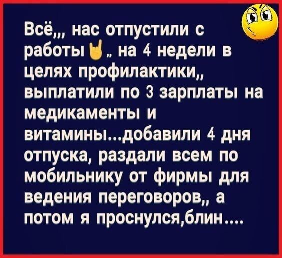 Всё нас отпустили с работы Н на 4 недели в целях профилактики выплатили по 3 зарплаты на медикаменты и витаминыдобавили 4 дня отпуска раздали всем по мобильнику от фирмы для ведения переговоров а потом я проснулсяблин