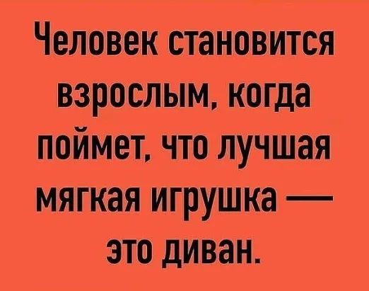 Человек становится взрослым когда поймет что лучшая мягкая игрушка это диван