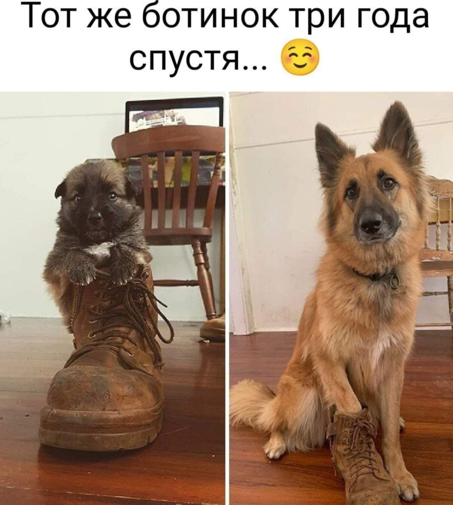 от же ботинок три года спустя 5