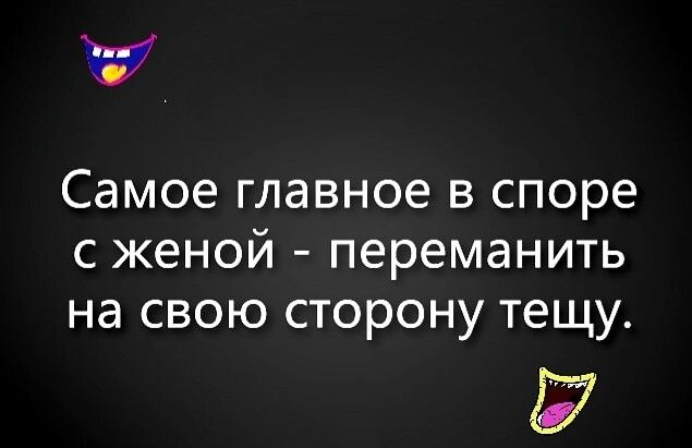 Самое главное в споре с женой переманить на свою сторону тещу
