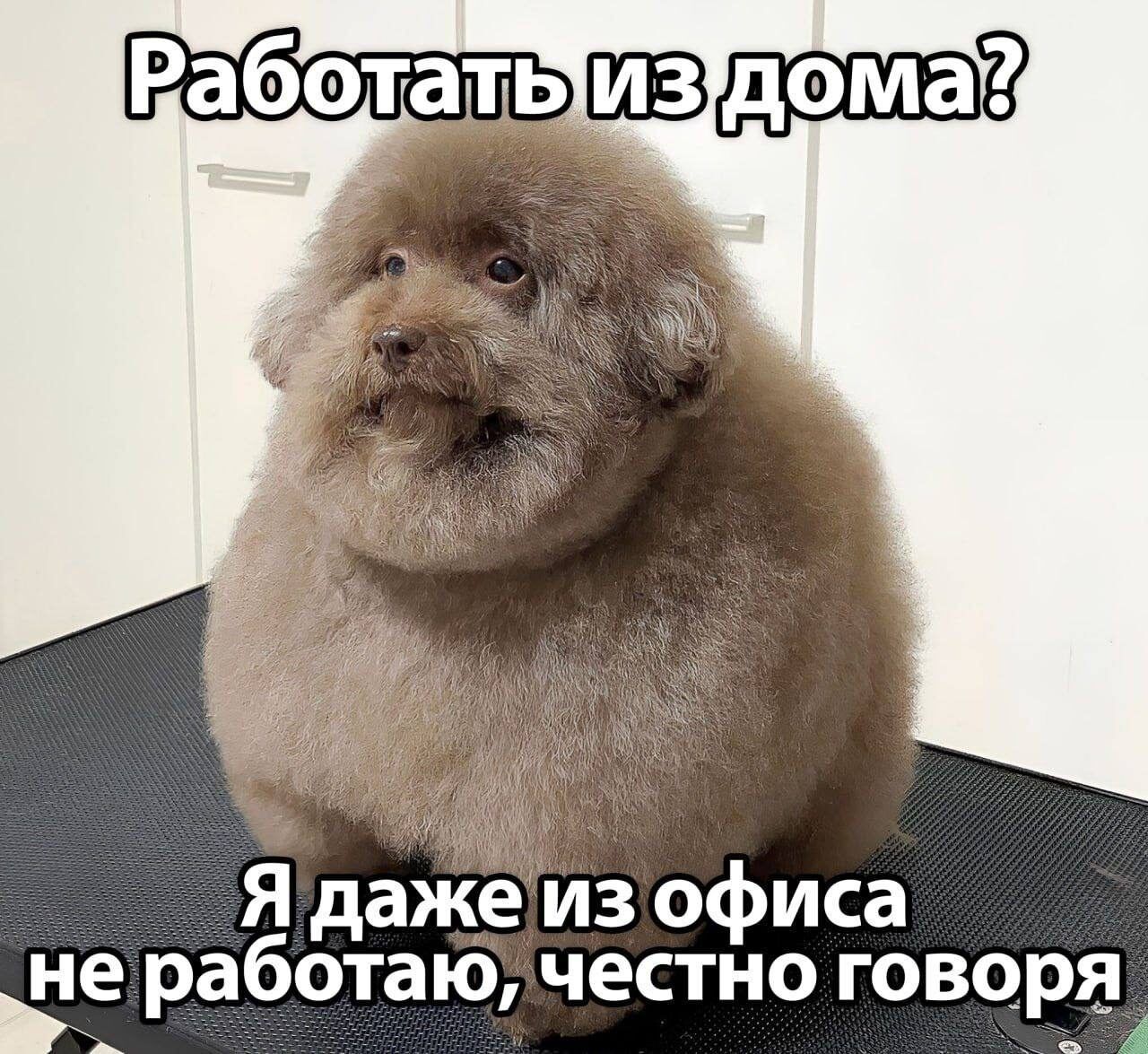 Я даже из офиса не работаю честно говоря