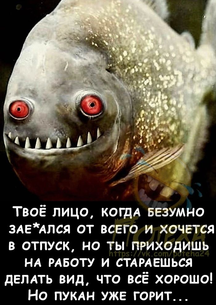 ТВОЁ ЛИЦО КОГДА БЕЗУМНО 3АЕАЛСЯ ОТ ВСЕГО И ХОЧЕТСЯ в отпуск но ты приходишь НА РАБОТУ и стдмвшься двпдть вид что всЁ хорошо Но пук уже горит