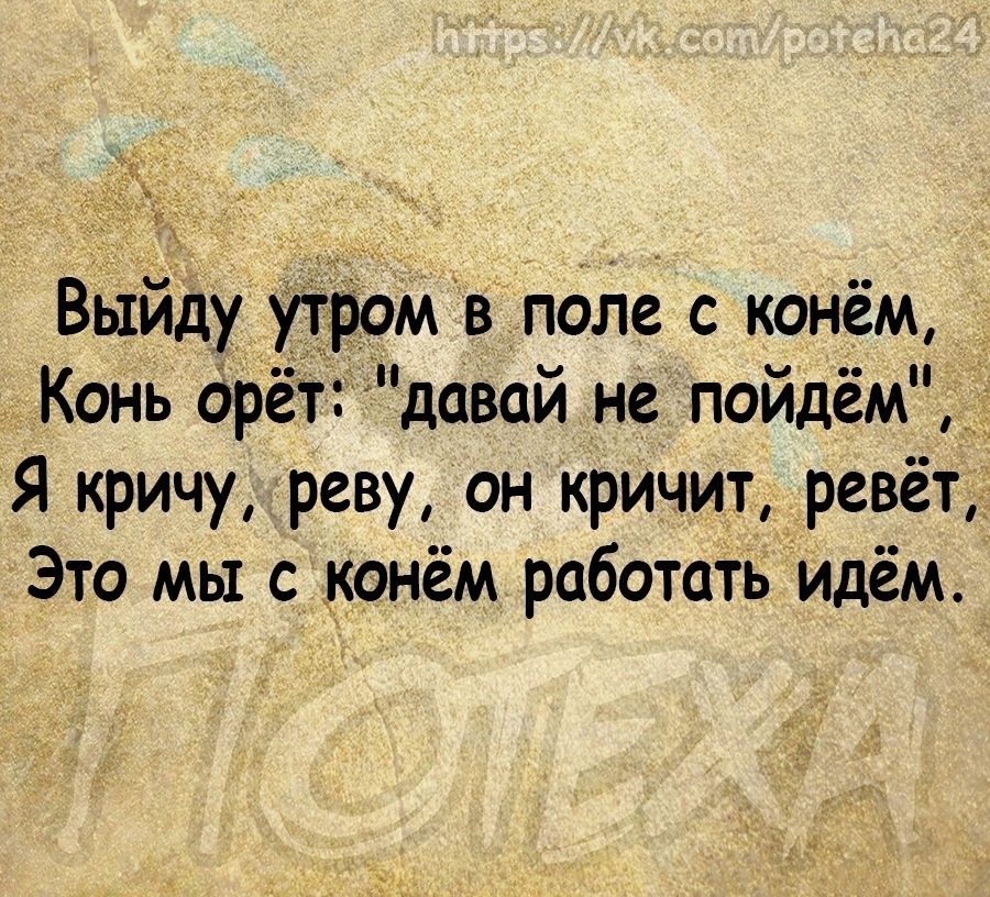 _ Выйду утромв поле с конём Конь дрёт давай не пойдём я кричу реву он кричит ревёт Это мы с конём работать идём
