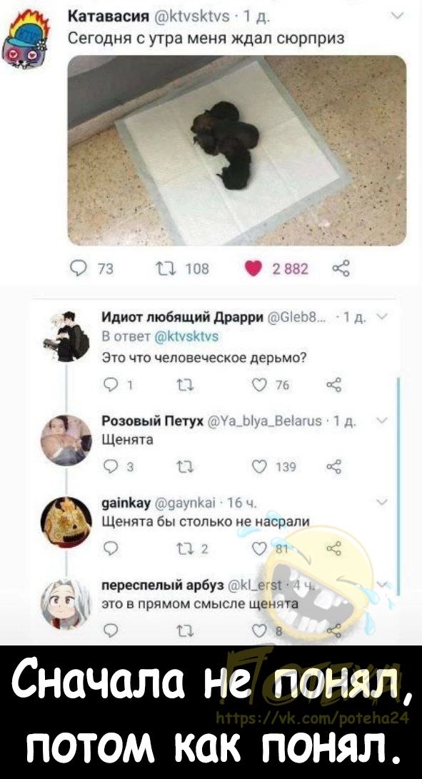 Катавасия Сегодня с утра меня ждал сюрприз я Идиш любящий драрри это по человеческос дерьма7 Розовый Петух Щеюпа цаіпКау Щенига бы Стппько не асрапи переспепый арбуз з зю в прямом смысле щела э 5 Сначала не понял ПО ОМ КОК ПОНЯЛ