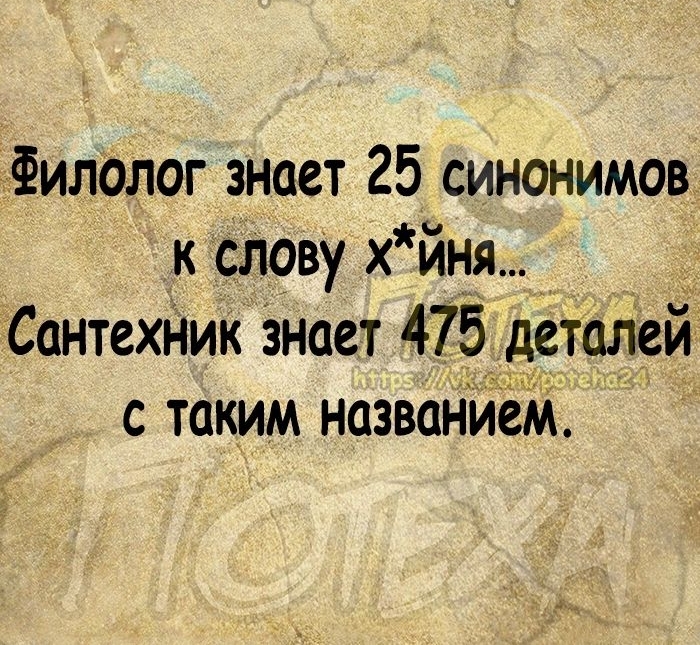 Филолог знает 25 синонимов к слову х йня Сантехник знает 475 _детштей с таким названйеМ