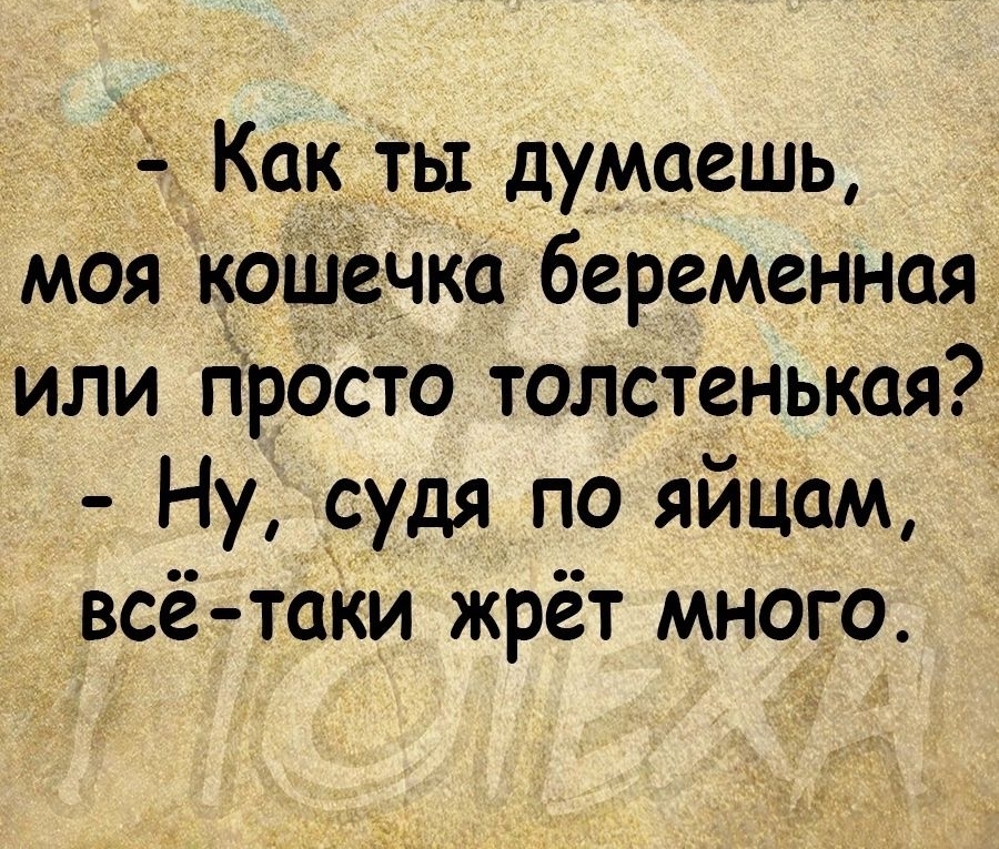 Как ты думаешь моя кошечКа беременная или проето толстенькая Ну судя по яйцам всё таки жрёт много