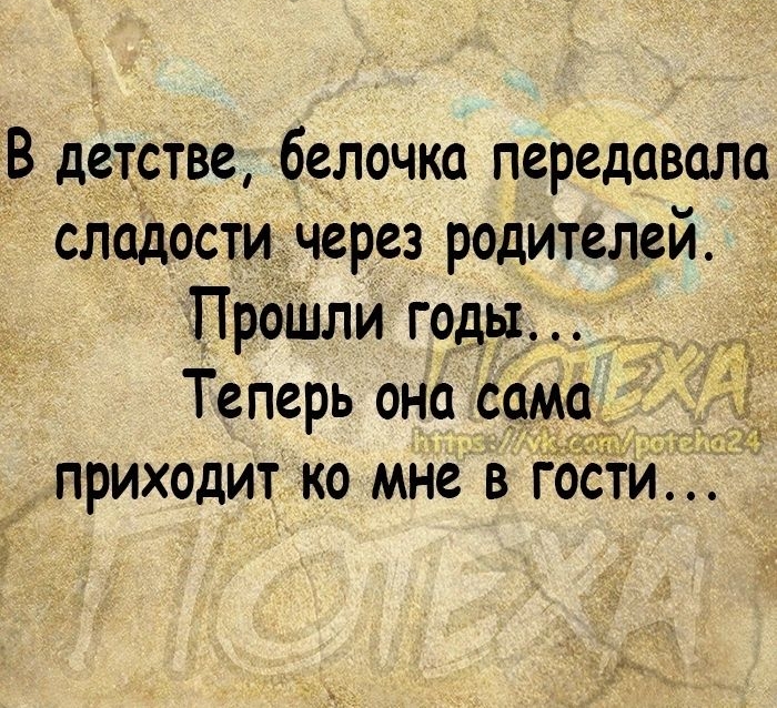 В детстве белочка передавала сладости через родителей ПроШли годы _ _ Теперь она сама_ 725 приходит ко мне в гости