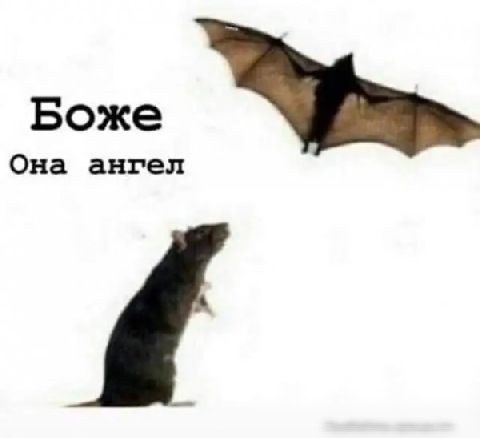 Боже Она ангел