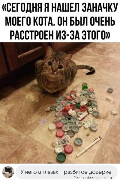 свгодня Я НАШЕЛ ЗАНАЧКУ МОЕГП КПТА ПН БЫЛ ОЧЕНЬ РАССТРПЕН ИЗ ЗА ЗТПГО